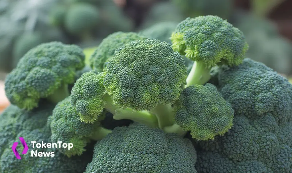 broccoli-brkl-cryptocurrency-market-insights-and-price-trends
