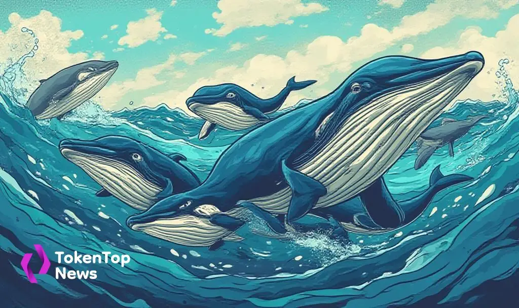 whales-purchase-200-million-ada-amidst-market-activity