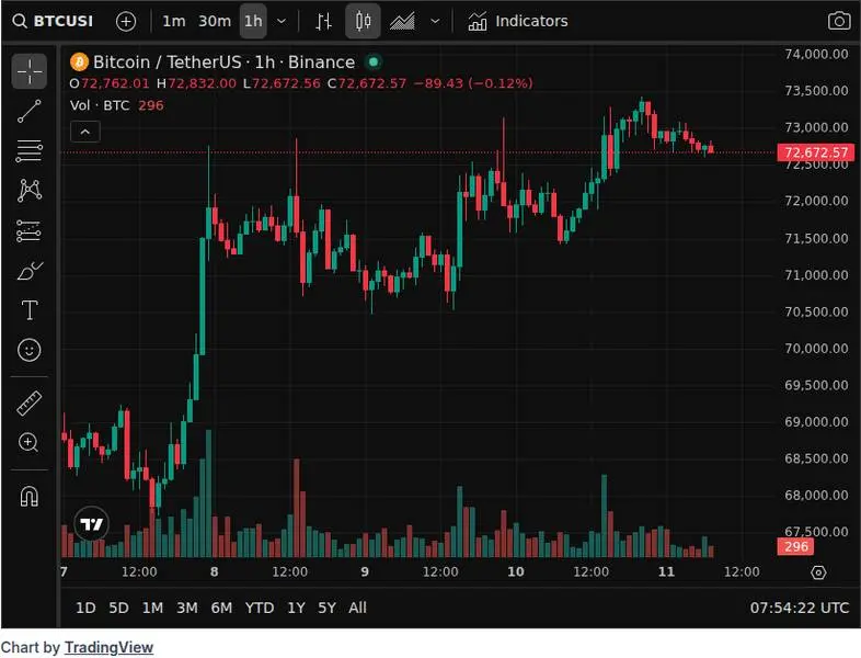CoinGecko price chart for ZEC ▫️ -Bear case: following the pattern of BTC summer 2014 = class=