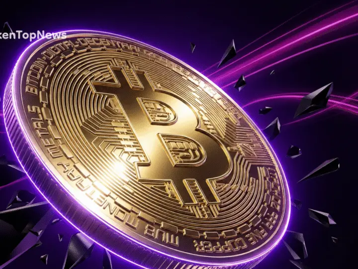 Bitcoin Treasury Companies: Adoption Timeline, Market Impact and Key Risks