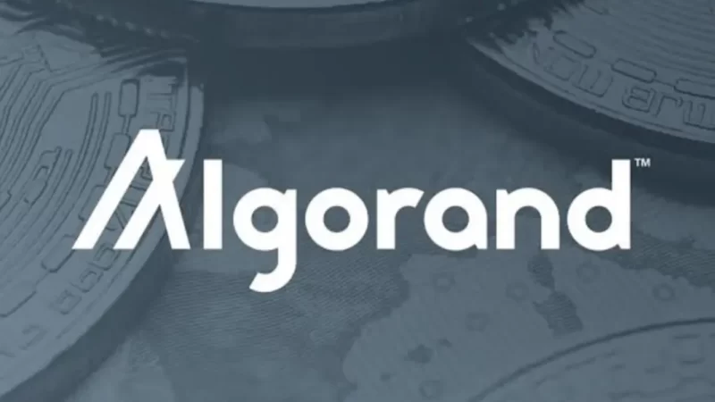 Algorand (ALGO) price doubles in two days, here are the possible reasons