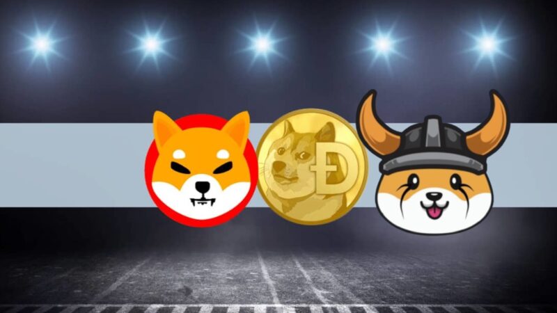 Telemedicine startup “Ask The Doctor” accepts DOGE, Shiba Inu and Floki Inu as payment