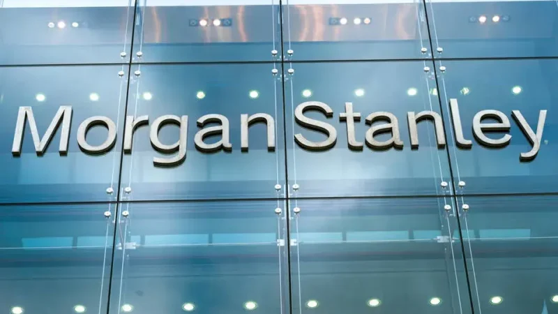 Morgan Stanley warns of contracting stablecoin market due to rate hike