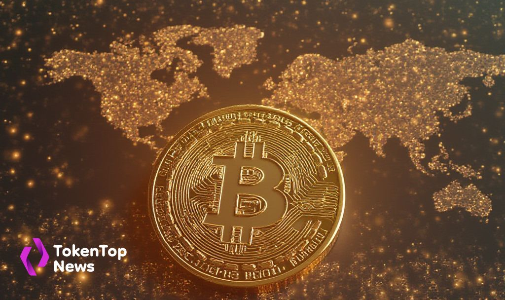 Institutional Bitcoin Holdings Reach New Highs Globally