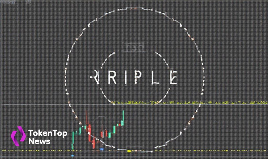 Ripple’s $5 Billion Offer for Circle Rejected