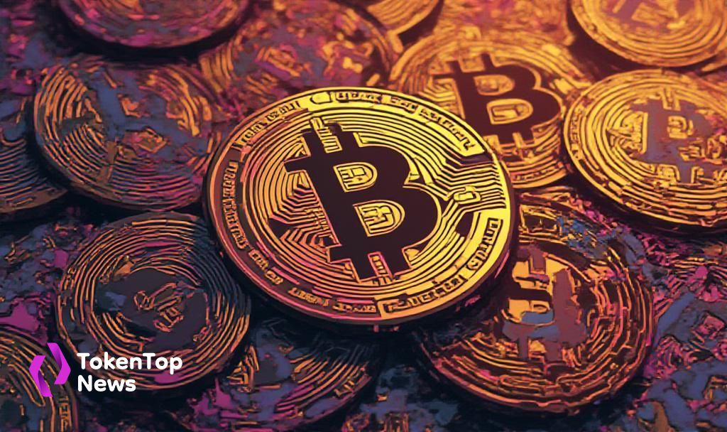 Bitcoin Ownership Pyramid Highlights Wealth Concentration in 2025