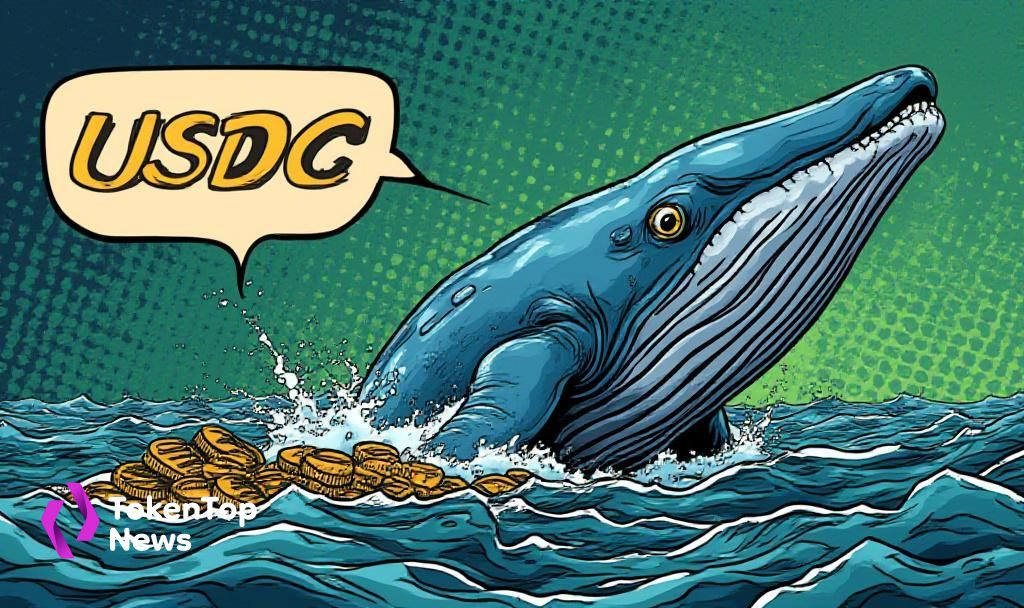 Whale Executes Major Trades on Hyperliquid Platform