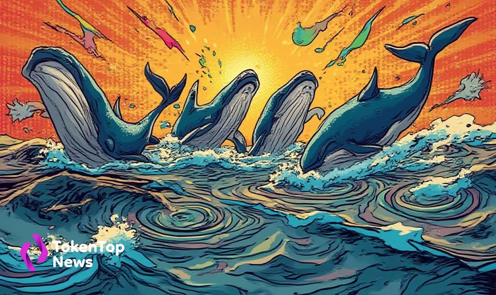 Whales Engage in Low-Leverage Trading on Hyperliquid
