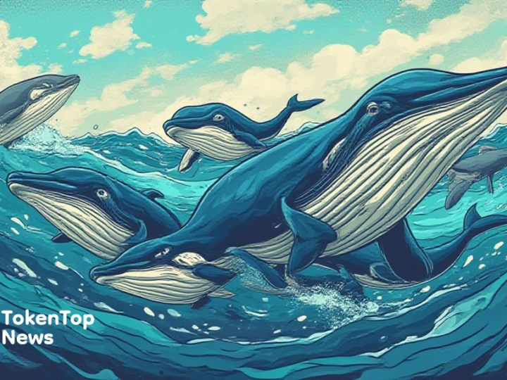 Whales Purchase 200 Million ADA Amidst Market Activity