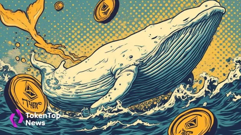 Top Trader “The White Whale” Reports $20M Paper Profit