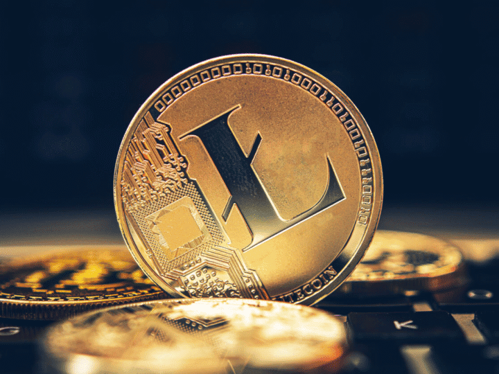 Avalanche and Litecoin Stay Resilient, While BullZilla’s Best Crypto Presale to Invest in 2025 Set to Jump Another 6.73%