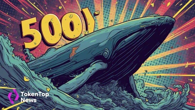 Anonymity and Profit: 5000 ETH Binance Deposit