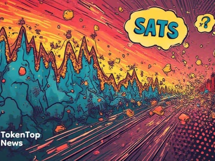 SATS Faces Price Surge and Sharp Retracement Amidst High Liquidations