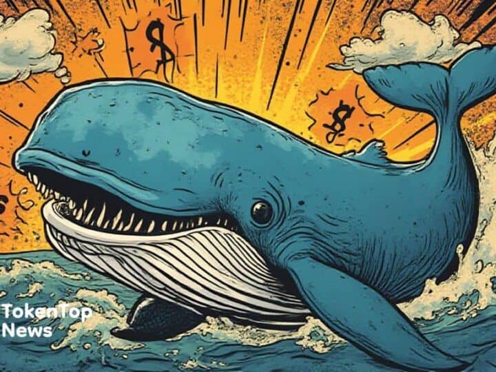 A Whale Accumulates 3.56 Million XPL with Unrealized Profit