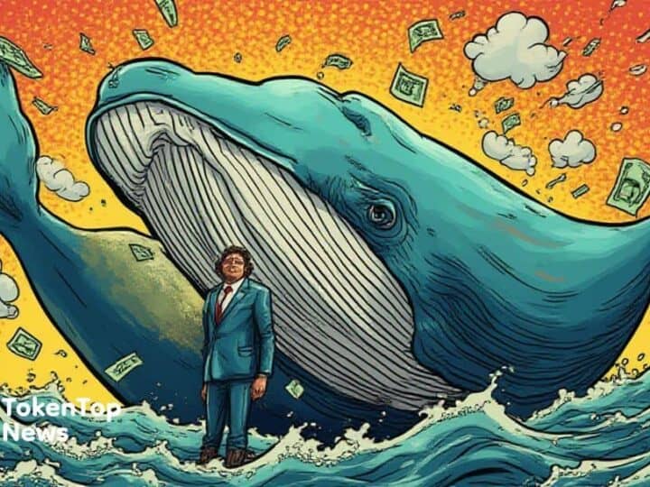Whale Purchases 54.09M XPL Amid Rising Gains