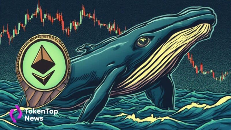 Whale Sells 10,000 ETH, Gains $960K from Trade