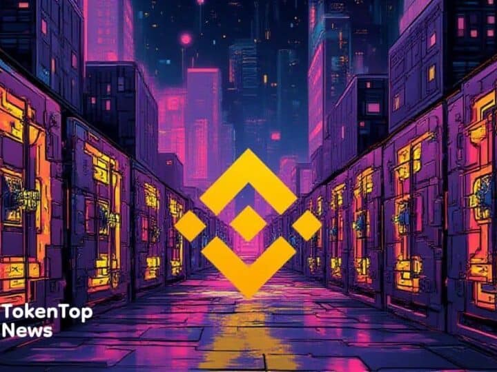Binance Resolves Wallet Balance Anomaly Issue