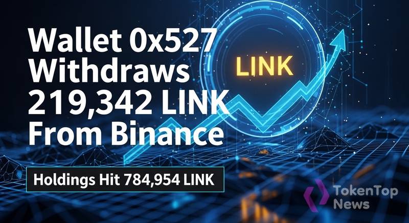 Wallet 0x527 Withdraws 219,342 LINK From Binance as Holdings Hit 784,954 LINK