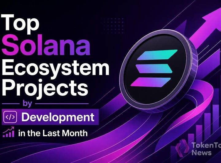 Top Solana Ecosystem Projects by Development in the Last Month