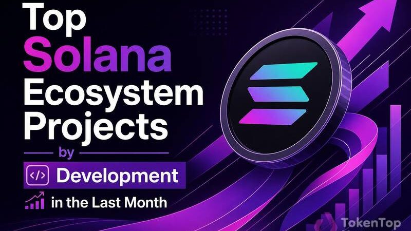 Top Solana Ecosystem Projects by Development in the Last Month