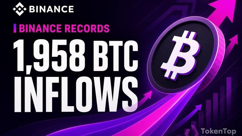 Binance Records 1,958 BTC in Aggregated Inflows