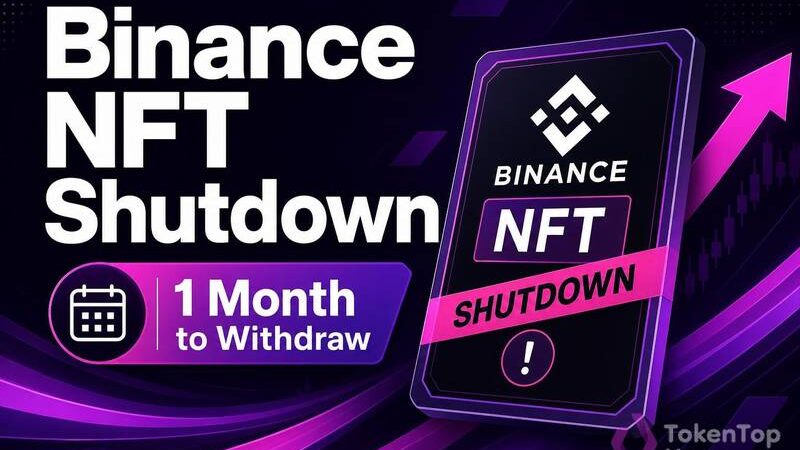 Binance to Shut Down NFT Service, Users Have One Month to Withdraw Assets