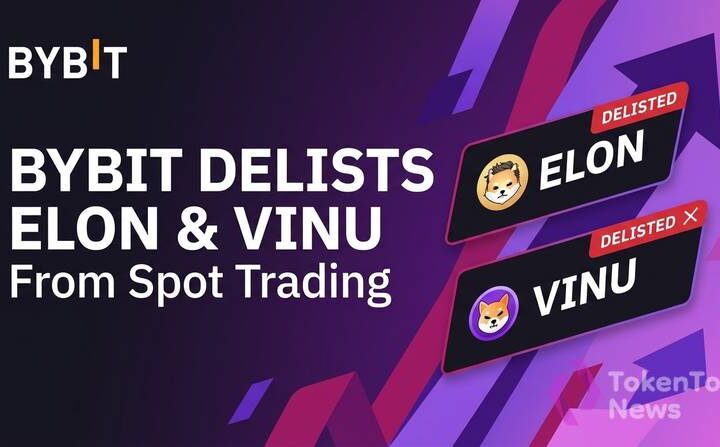 Bybit Delists ELON and VINU From Spot Trading