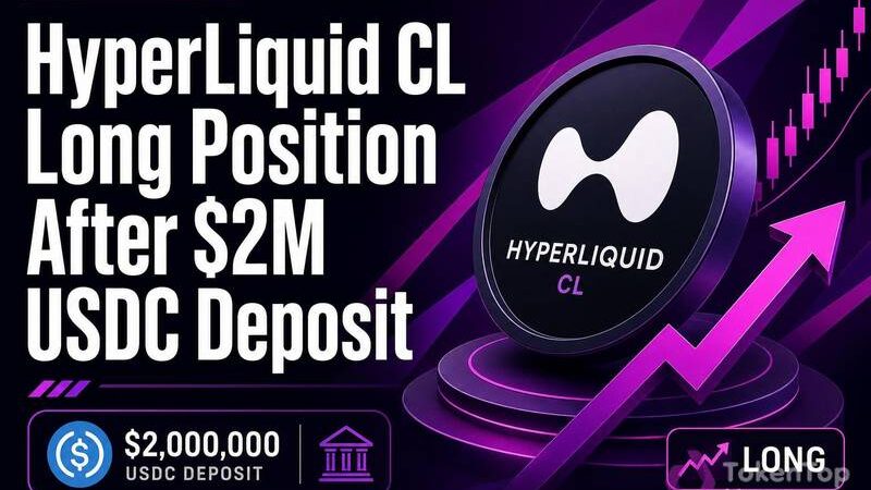 HyperLiquid CL Long Position After $2M USDC Deposit