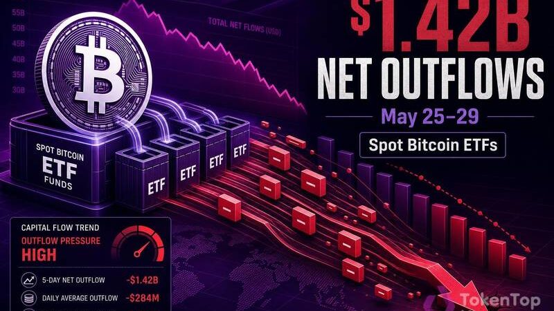 Spot Bitcoin ETFs Saw $1.42B in Net Outflows From May 25-29