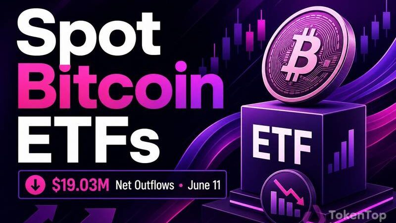 Spot Bitcoin ETFs Post $19.03 Million in Net Outflows on June 11