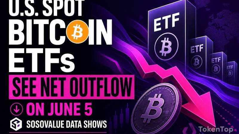 U.S. Spot Bitcoin ETFs See Net Outflow on June 5, SoSoValue Data Shows