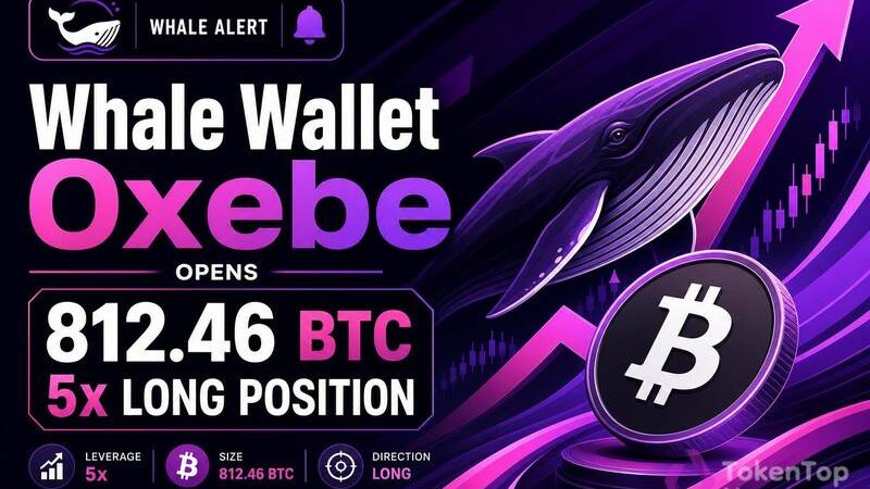 Whale Wallet 0xebe Opens 812.46 BTC 5x Long Position