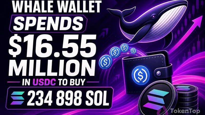 Whale Wallet Spends $16.55 Million in USDC to Buy 234,898 SOL