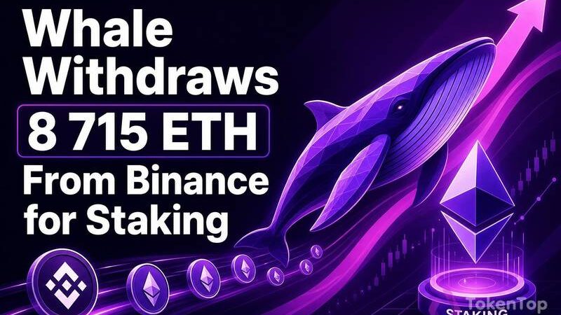 Whale Withdraws 8,715 ETH From Binance for Staking